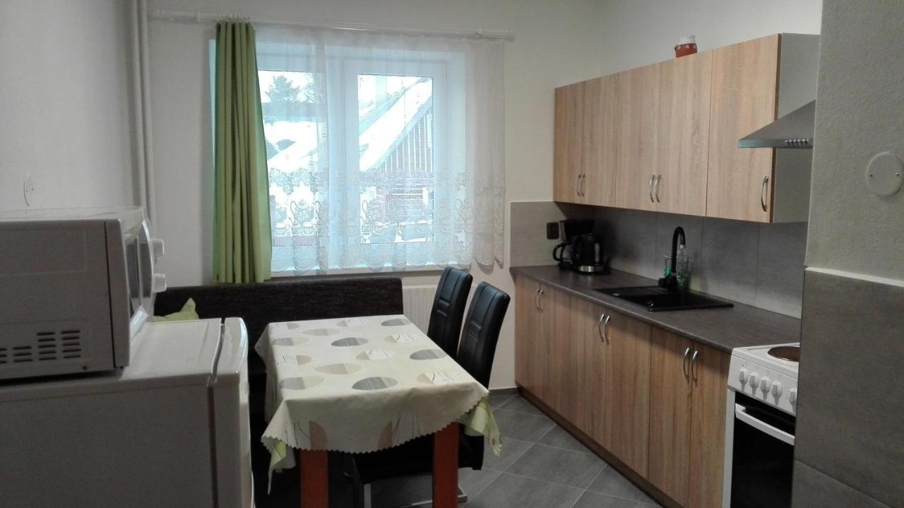 Apartmány Puskarčíková Harrachov Kültér fotó